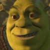 As melhores do Shrek 😹 20