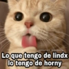 Lo que tengo de lindx lo tengo de horny