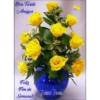 Boa Tarde
Amigos
Feliz
Fim de
Semana!
LORES ERASES
