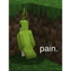 pain.