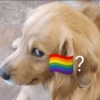 ?