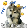 2² @bahorx ܐܐ Ya me dió sueñito