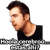 Hoola cerebroo.. estás ahí?
