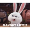 MAKSUT LO??!?