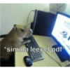 *simula leer el pdf