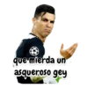 que mierda un asqueroso gey