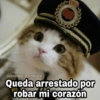 Queda arrestado por robar mi corazón