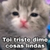 Toi triste dime @Harley_Stickers cosas lindas