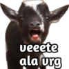 veeete ala urg