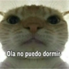 Ola no puedo dormir