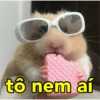 tô nem aí