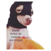 Los chidos 12