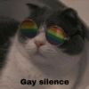 Gay silence