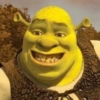 As melhores do Shrek 😹 18