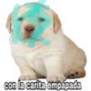con la carita empapada