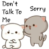 Don't Talk To Me چه Sorry