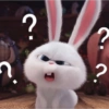 ?