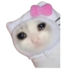 Memes sad 17