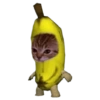 Memes de animais 8