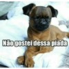 Não gostei dessa piada