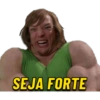 waar SEJA FORTE