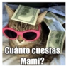 Gatiperros para resonder.  13