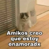 Amikos creo que estoy enamoradx @Harley_Stickers