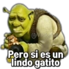 @Vickyfas Pero si es un lindo gatito