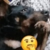 c)