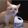 CLOROX