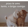 poxa te amo tanto, n briga comigo @RDS GANG