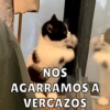 NOS AGARRAMOS A VERGAZOS