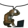 Randoms 6 5