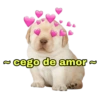 ? cego de amor ~