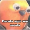 Escuta aqui seu merda