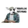 CatiPanda1 8