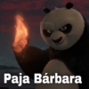 Chipost Del Chido ? 5