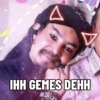A IHH GEMES DEHH