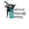 යෝගඡී ගහල කුඩු ගහලද