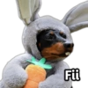 Fii