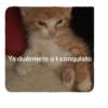 Ya duérmete o t conquisto