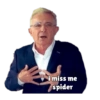 i miss me
spider