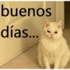 buenos días...