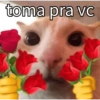 Memes icônicos 🗣️ 14