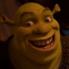 As melhores do Shrek 😹 16