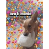 ovo ti morde