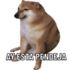 AY ESTA PENDEJA