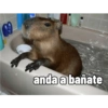 anda a bañate