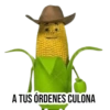 A TUS ÓRDENES CULONA