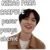 NIHAO PARA CARPULE pacar punya chenle